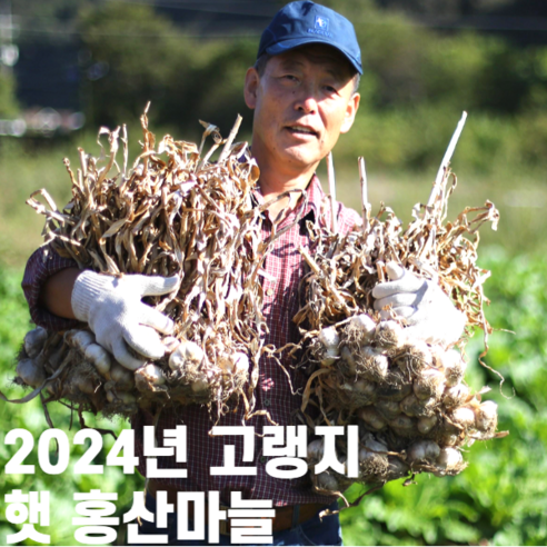 2023년 햇마늘 홍산마늘 통마늘 1kg 3kg 5kg, 3kg 소, 1개