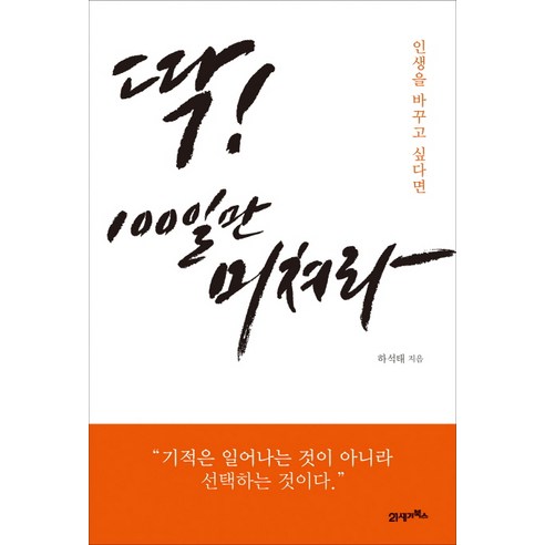 인생을 바꾸고 싶다면 딱 100일만 미쳐라:기적은 일어나는 것이 아니라 선택하는 것이다, 21세기북스, 하석태