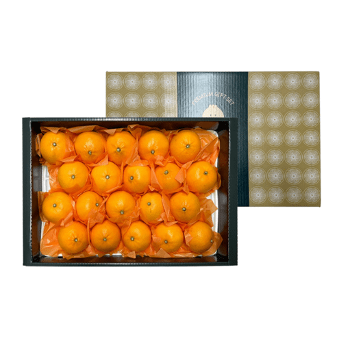 제주 산지직송 15bix 로얄 한라봉, 1개, 3kg(선물용)