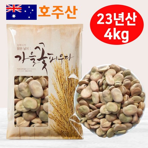 호주 파바빈(대) 4kg 23년산 햇 파바빈콩 원물 파바빈 콩 수입사 직판 TV홈쇼핑 공급사, 1개
