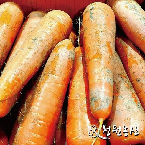 청원농산 국내산 햇당근 흙당근3kg 5kg 10kg, 3kg (중), 1개