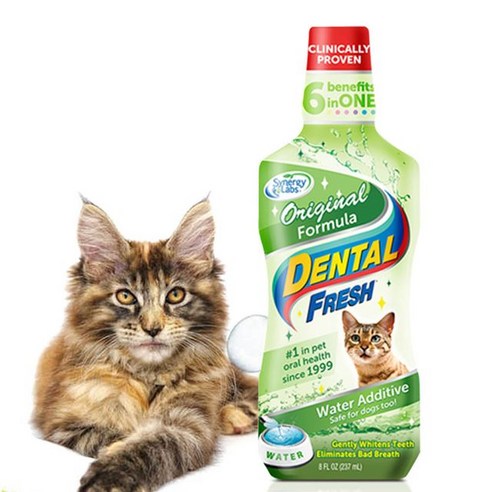 시너지랩 애완 애견 용품N Cat 덴탈 후레쉬 오리지널 237ml 물에 섞는 치약, 1개, 상세페이지 참조