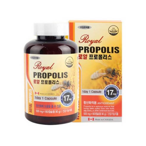 캐나다산 로얄 프로폴리스 캡슐 먹는 포리폴리스 bee propolis 청년 중년 노인, 60정, 1개