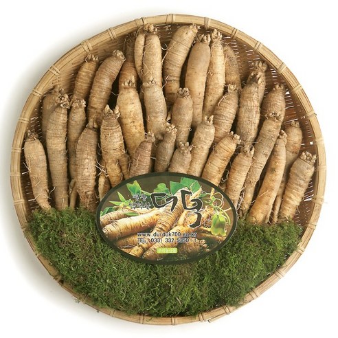 향좋고 맛좋은 고랭지 평창백덕산더덕 중 1kg, 1개, 왕특 1kg