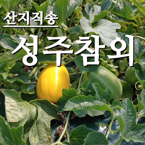 BB [농부네 부부농장] 싱싱한 성주참외 10kg 비품상품, 1박스, BB-10.실속형 10kg 대과 (박스무게포함)