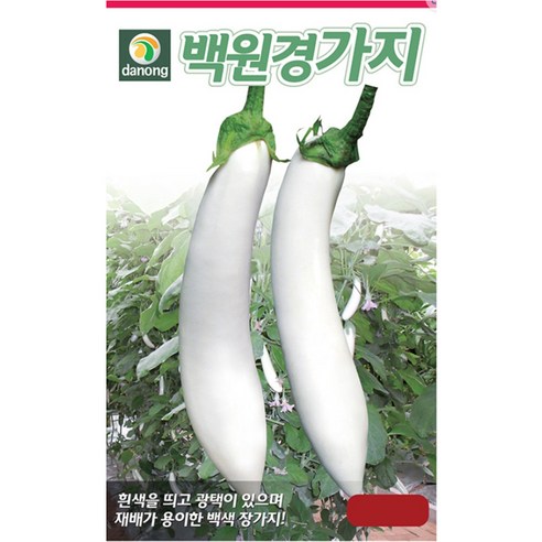 백원경가지 100립 미니가지 장가지 백원경가지 흰계란가지 둥근달가지 천하대장가지 다농종묘 23년, 1개
