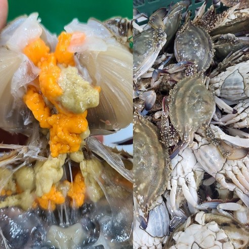 제철 국내산 봄 활 암꽃게 1kg 4-6미 알수율80% 빙장포장, 1kg(4-6미), 1개