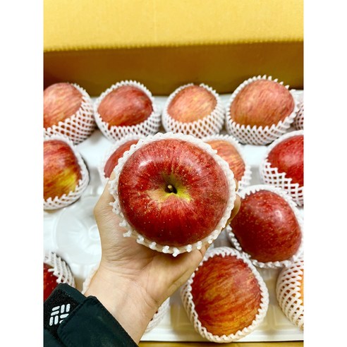 사과 유명한곳 경북 청송 홈골농원 꿀 맛 사과 가정용 5kg, 주스용 크기혼합5kg, 1개