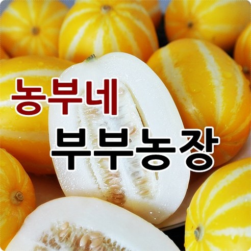 농부네 부부농장 성주참외 2kg 5kg 10kg 산지직송, 09.참외 10kg 가정용 랜덤or혼합(박스포함), 1개