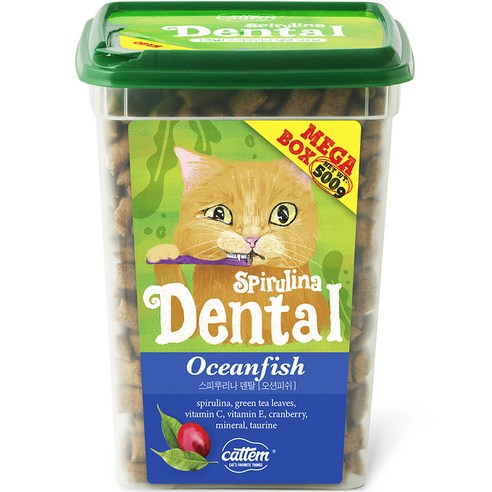 캣템 고양이 스피루리나 덴탈 이빨과자 대용량 메가박스, 비프, 500g, 1개