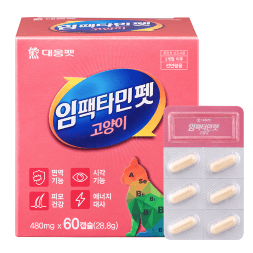 대웅펫 임팩타민펫 고양이 캡슐 영양제 60캡슐, 니코틴산아미드, 면역력 강화, 1개
