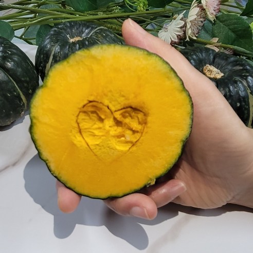 [쿠팡단독판매] 제주산 미니밤호박 단호박 보우짱, 1박스, 정품_3kg