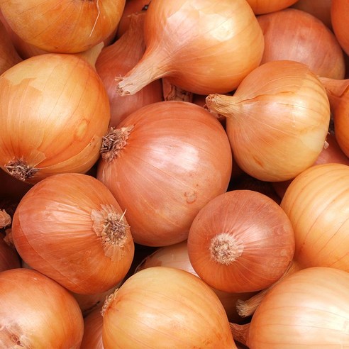 햇양파 무안양파 2kg/3kg/5kg, 1개, 양파 중 2kg