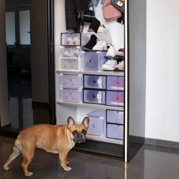 SET OF 10 BOXES CONTAINERS ORGANIZER RETRACTABLE SHOES FOR WARDROBE 31x20,5x11cm