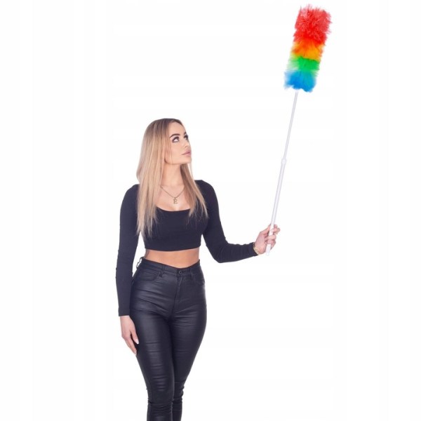 TELESCOPIC DUST BROOM LONG BRUSH WART SWEEPER COBWEB XXL