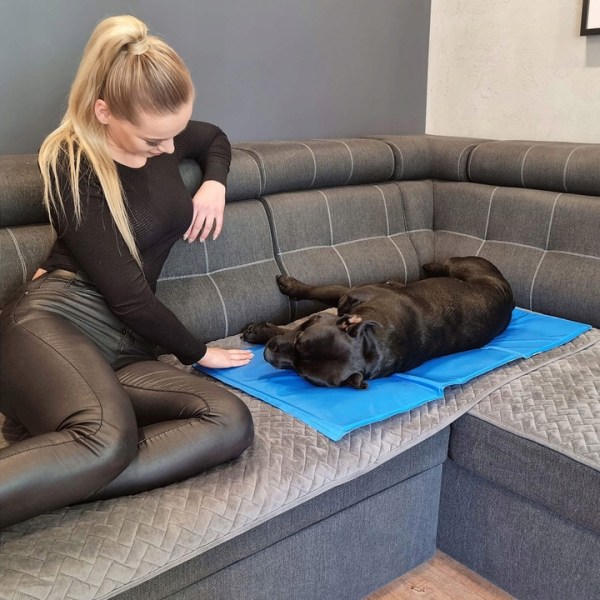 GEL COOLING MAT FOR ANIMALS DOG CAT LARGE XL 40x30 COOL BED