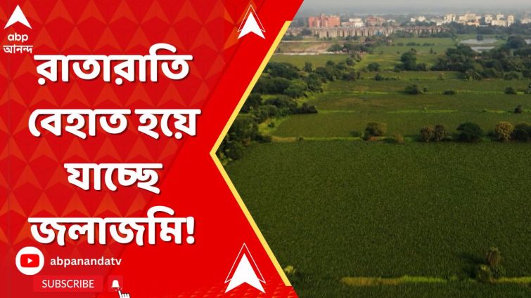 দশ বছর আগেও যেখানে ছিল সবুজের সমারোহ, এখন সেখানেই মাথা তুলেছে ধূসড় কংক্রিট! দশ বছর আগেও যেখানে ছিল সবুজের সমারোহ, এখন সেখানেই মাথা তুলেছে ধূসড় কংক্রিট!