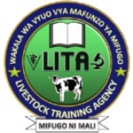 LITA: 4 New Job Vacancies Open – Apply by May 25, 2025 LITA: 4 New Job Vacancies Open – Apply by May 25, 2025