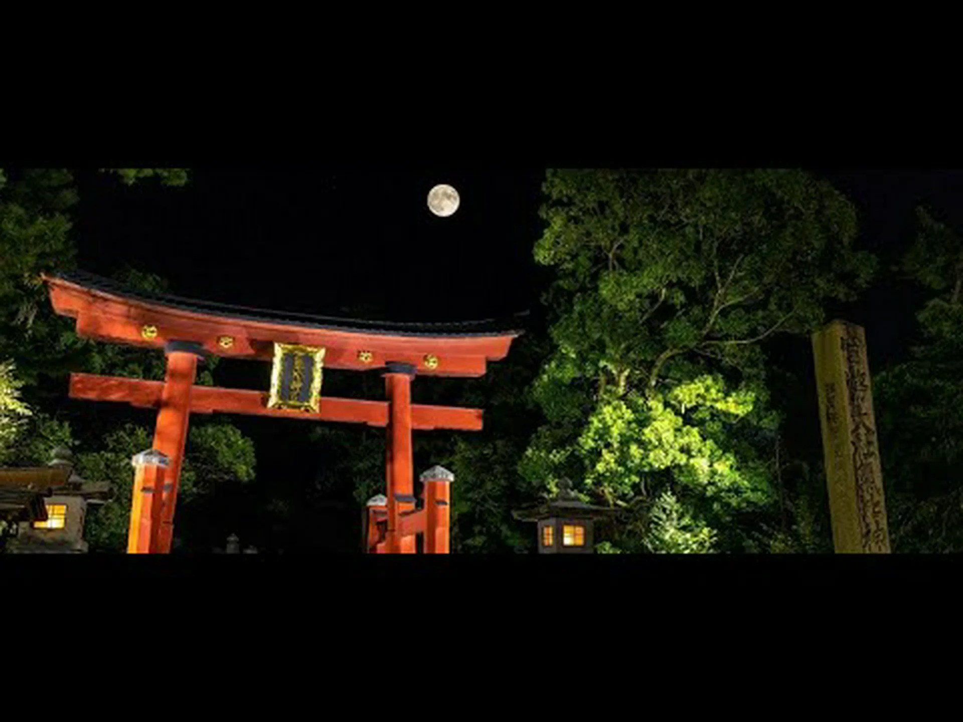 Reseñas, acceso y horario comercial de la tienda principal de KOBORI Kehi Jingumae Kagura | Tsuruga Reseñas, acceso y horario comercial de la tienda principal de KOBORI Kehi Jingumae Kagura | Tsuruga