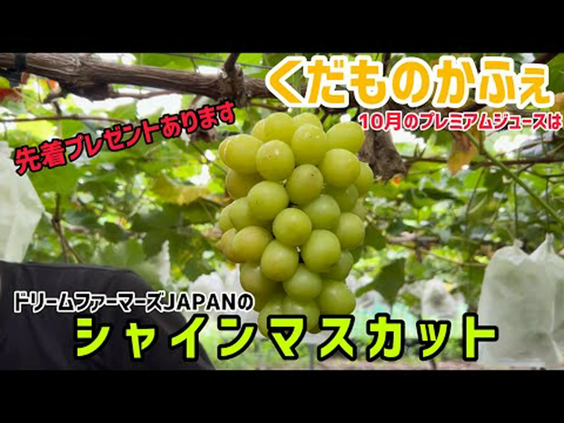Reseñas de Fruit Cafe, acceso, horario comercial | Ciudad de Oita Reseñas de Fruit Cafe, acceso, horario comercial | Ciudad de Oita