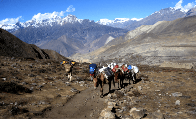Jomsom Muktinath Trekking: A Spiritual and Scenic Journey in the Himalayas Jomsom Muktinath Trekking: A Spiritual and Scenic Journey in the Himalayas