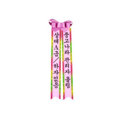 필레오 인간화환 소형, 할머니 환갑축하드려요 선물은 저에요, 5개