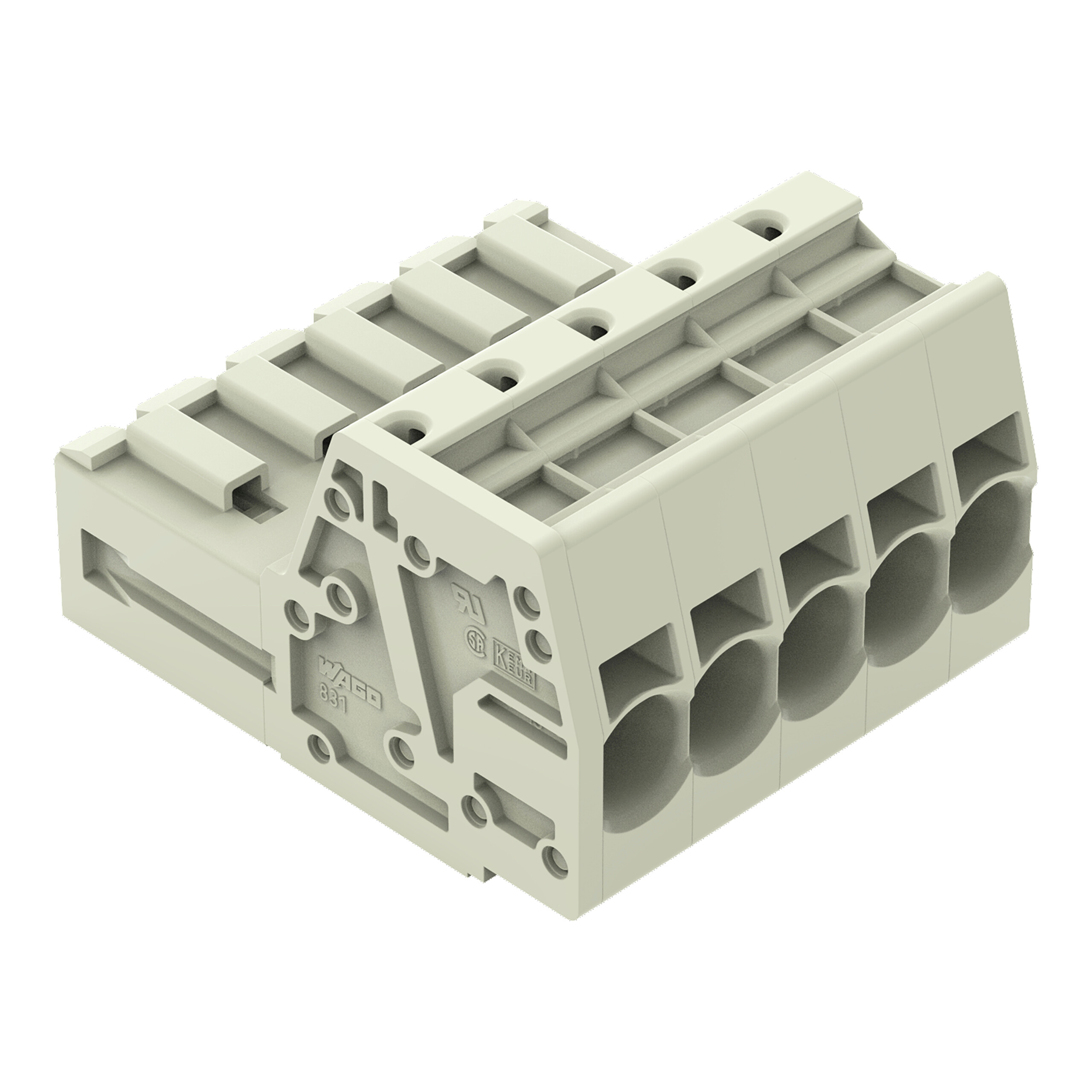 Connect male CCS 7,62mm 5 p/gr