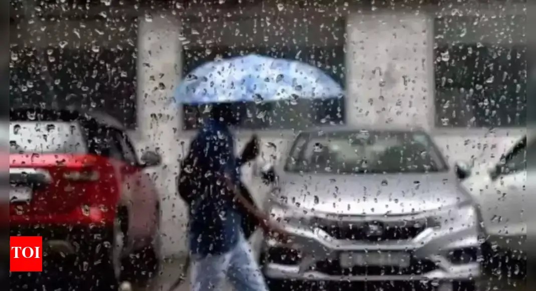 Monsoon lull phase in Maharashtra, revival likely around Independence Day | Pune News Monsoon lull phase in Maharashtra, revival likely around Independence Day | Pune News