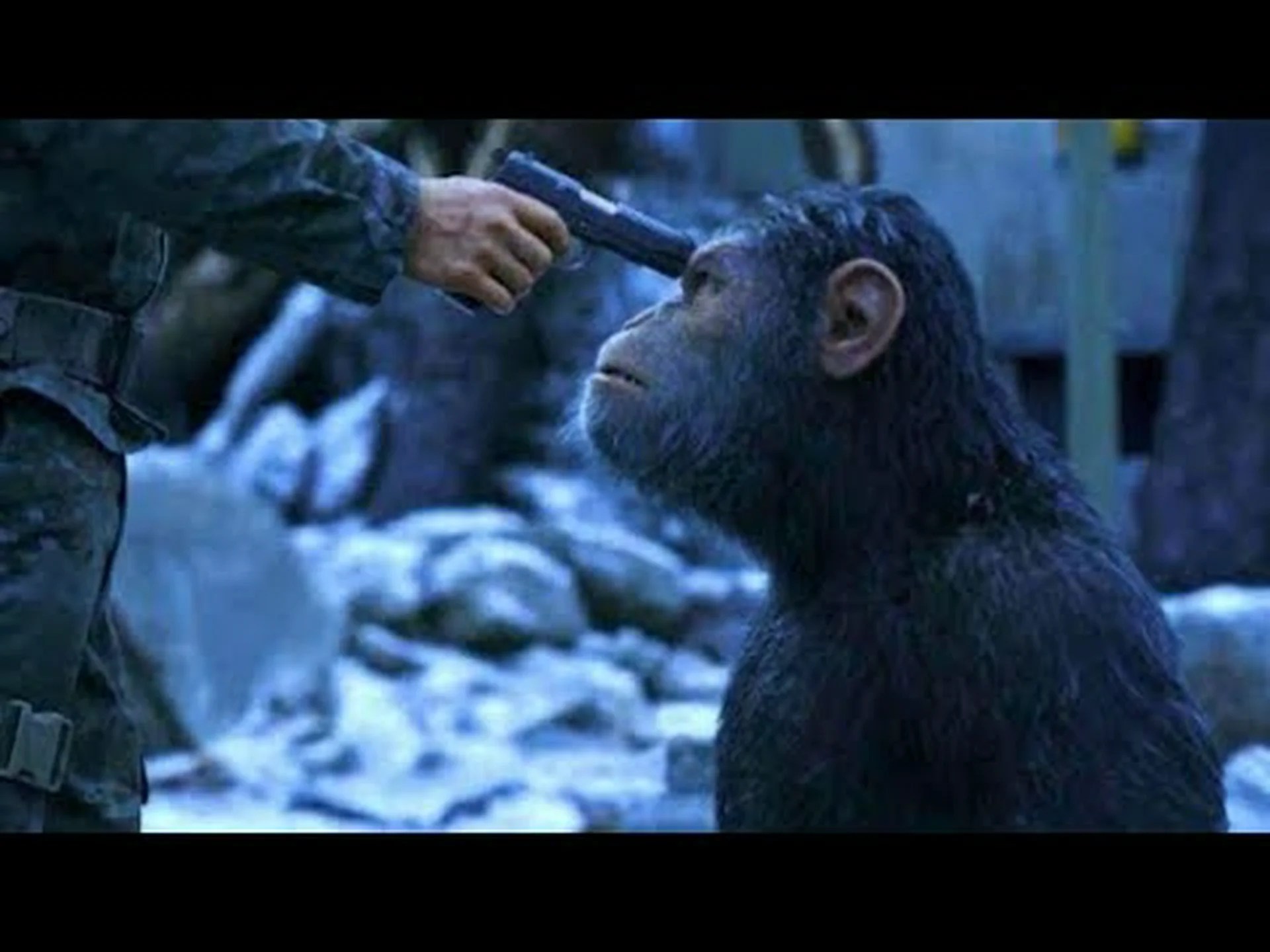 チンパンジーゲノムプロジェクトは人間を人間たらしめているものの解明を目指す チンパンジーゲノムプロジェクトは人間を人間たらしめているものの解明を目指す