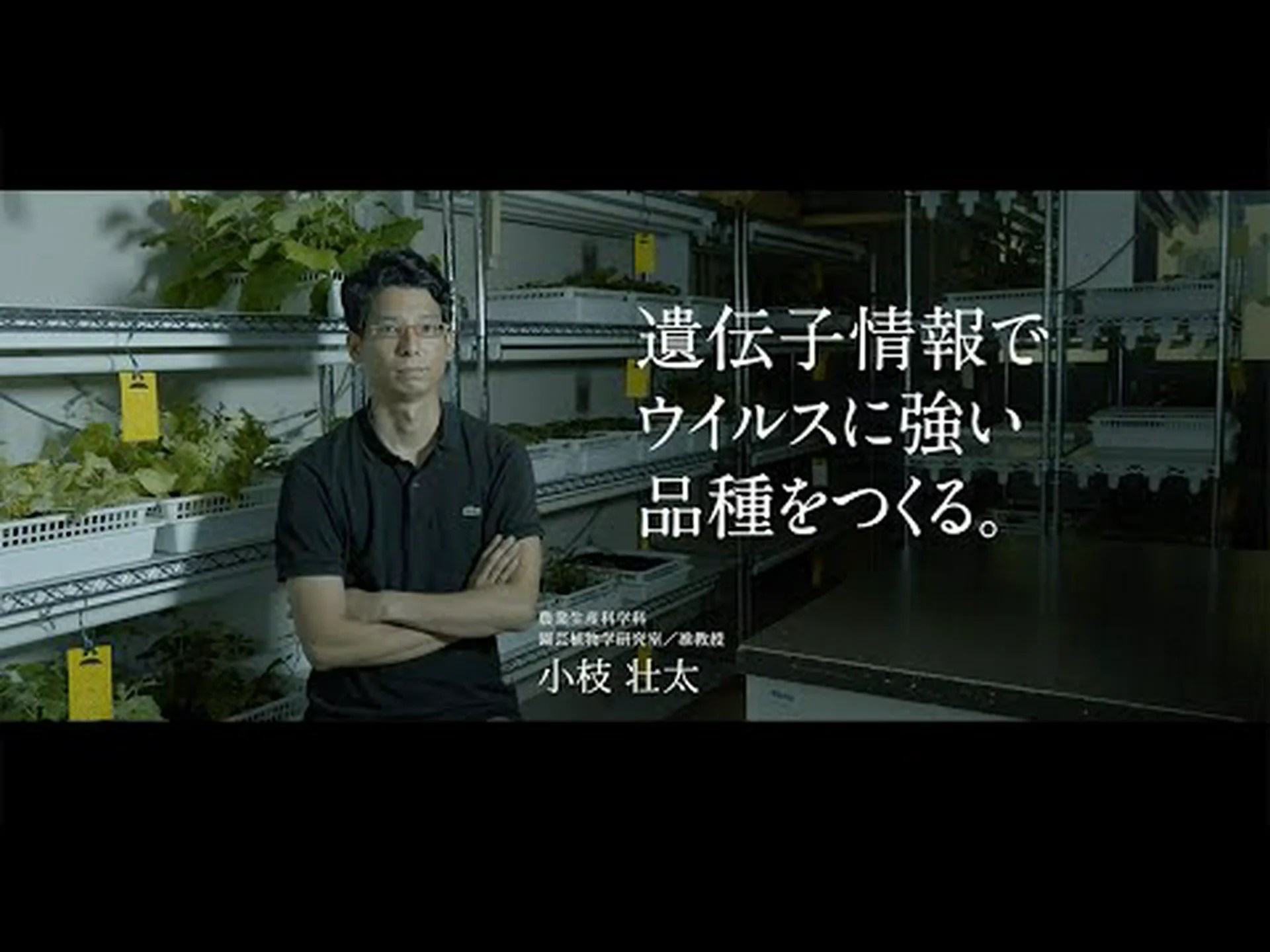 新規病害抵抗性遺伝子植物 新規病害抵抗性遺伝子植物