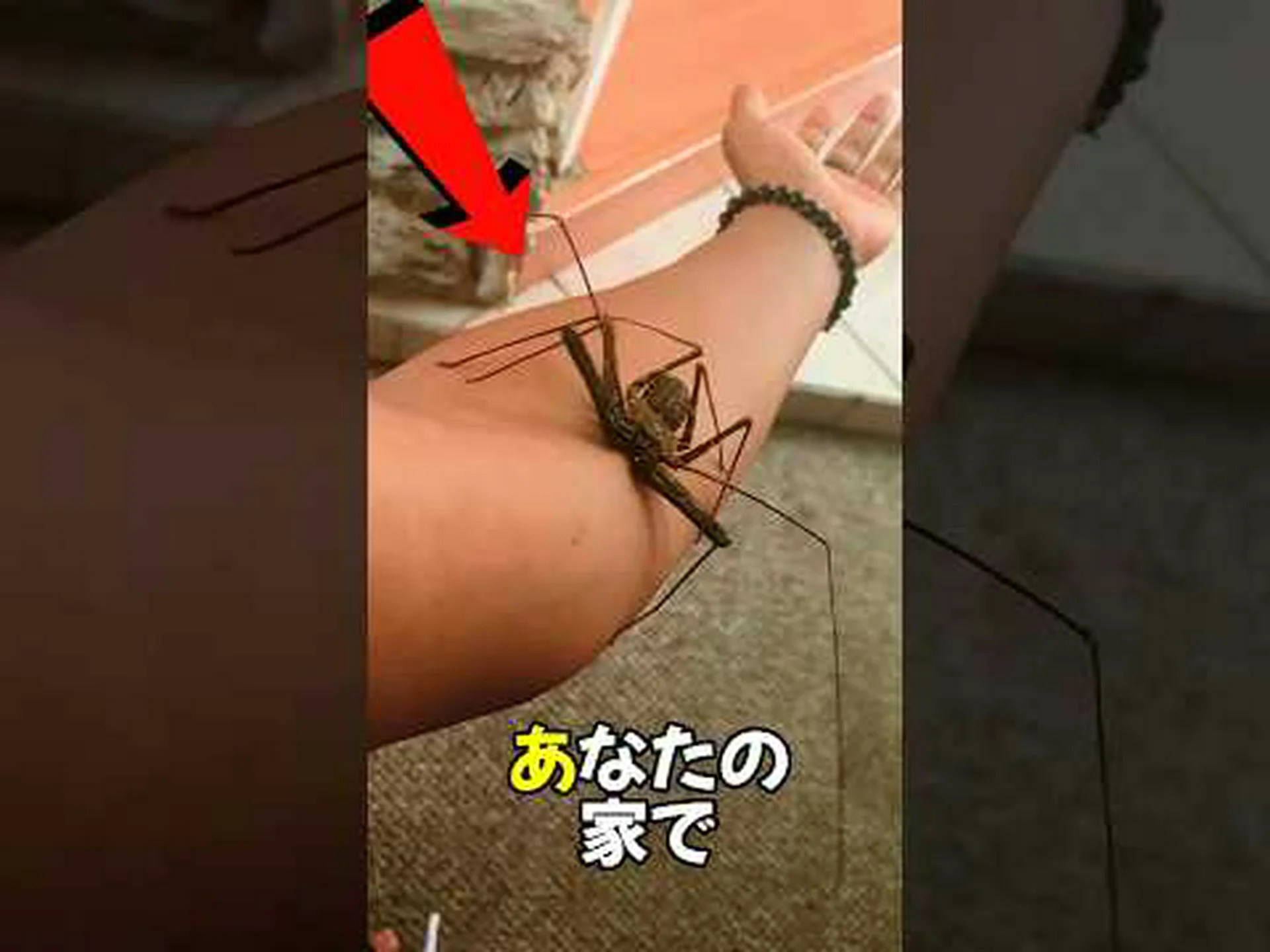 絶対に間違っています 絶対に間違っています