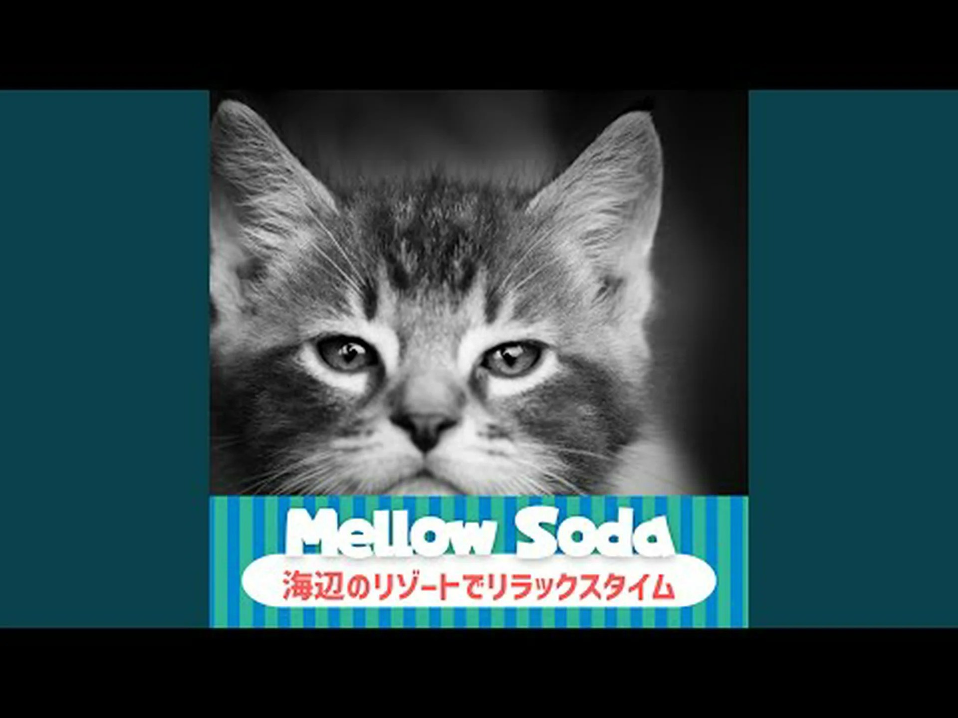 明るいところで寝るのは不健康 – 少なくともマウスにとって 明るいところで寝るのは不健康 – 少なくともマウスにとって