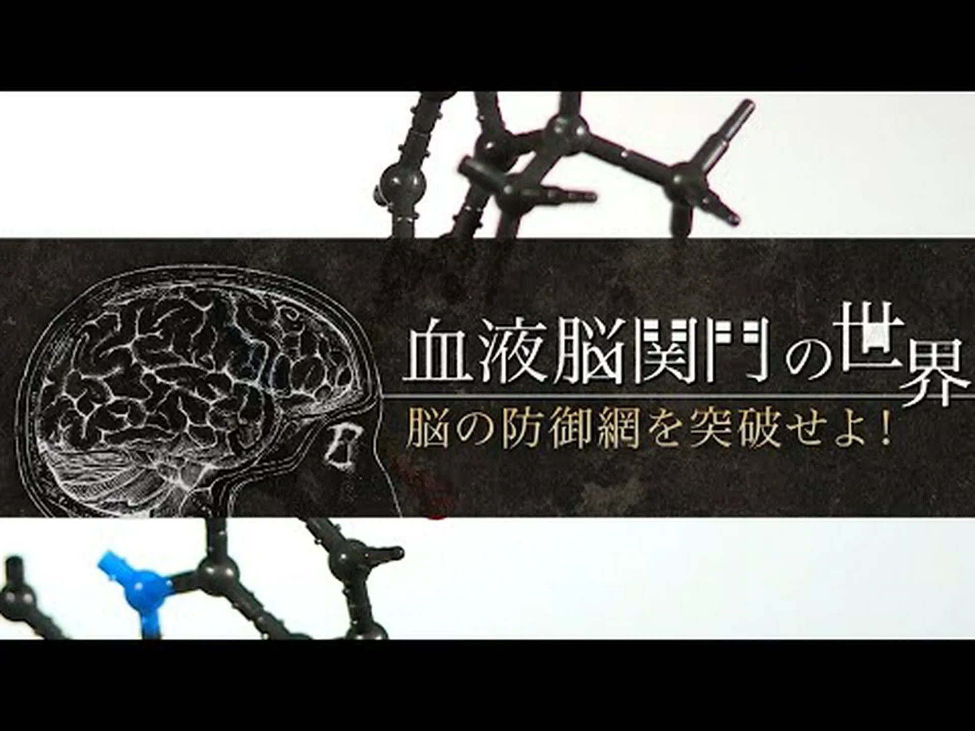 動物実験で血液脳関門が廃止される 動物実験で血液脳関門が廃止される
