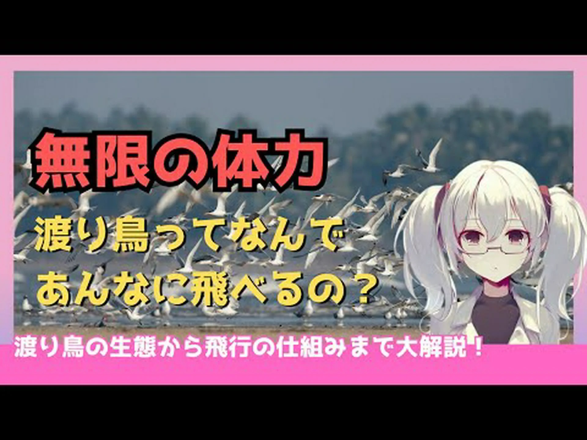 渡り鳥:長距離を飛ぶ鳥のほうが賢い 渡り鳥:長距離を飛ぶ鳥のほうが賢い