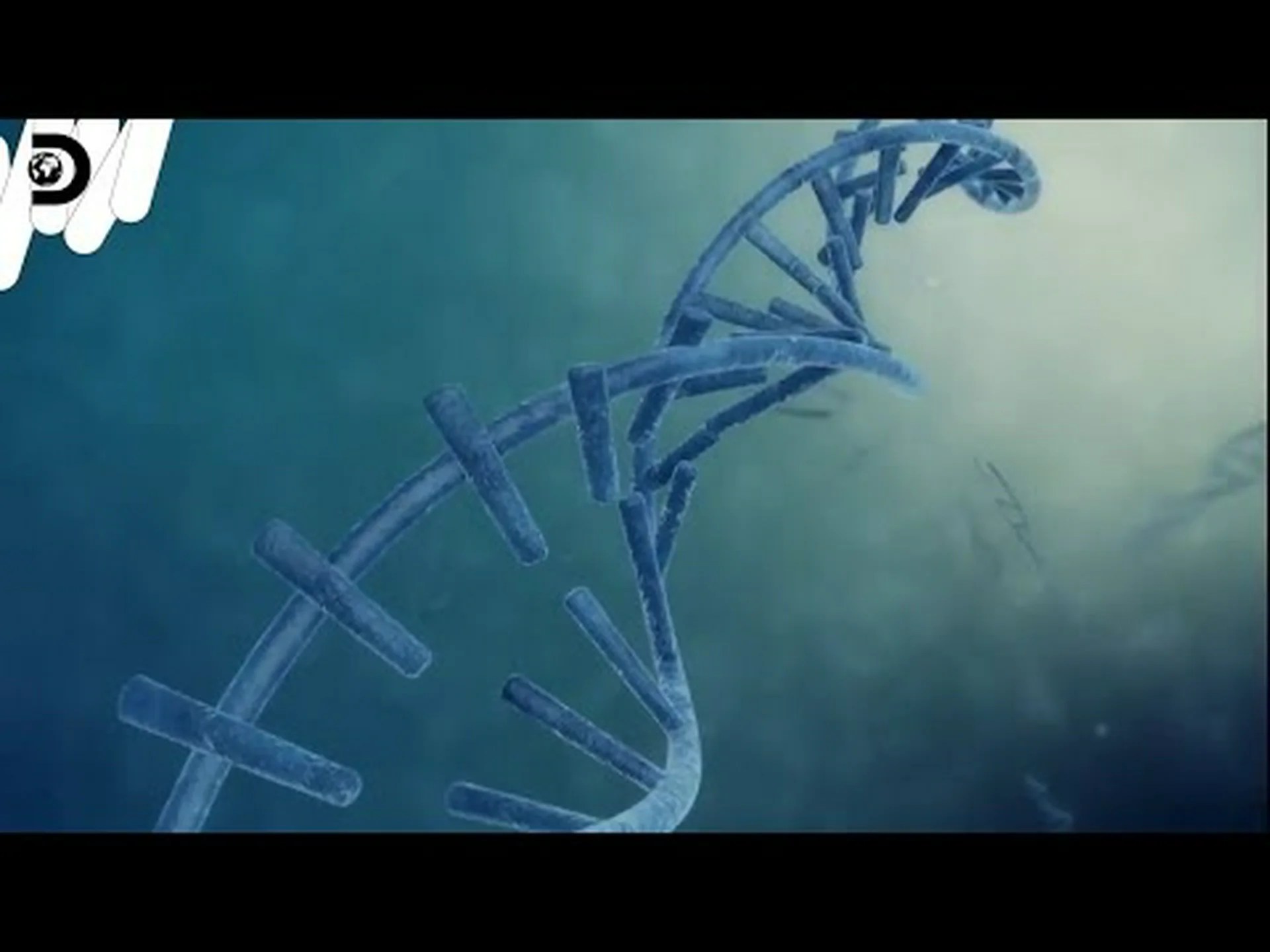 「熱い」恐竜と「冷たい」恐竜の軌跡をたどる 「熱い」恐竜と「冷たい」恐竜の軌跡をたどる