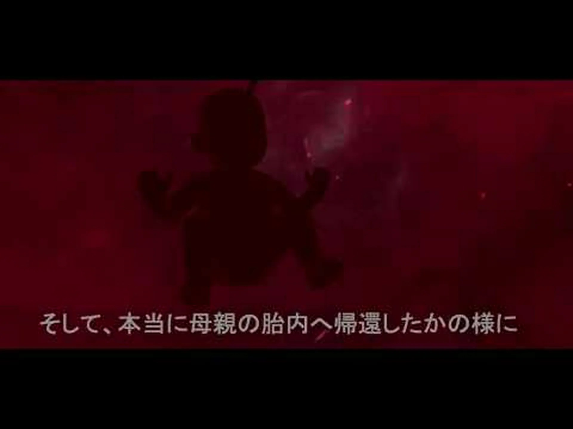 胎児の仮想現実ビュー 胎児の仮想現実ビュー