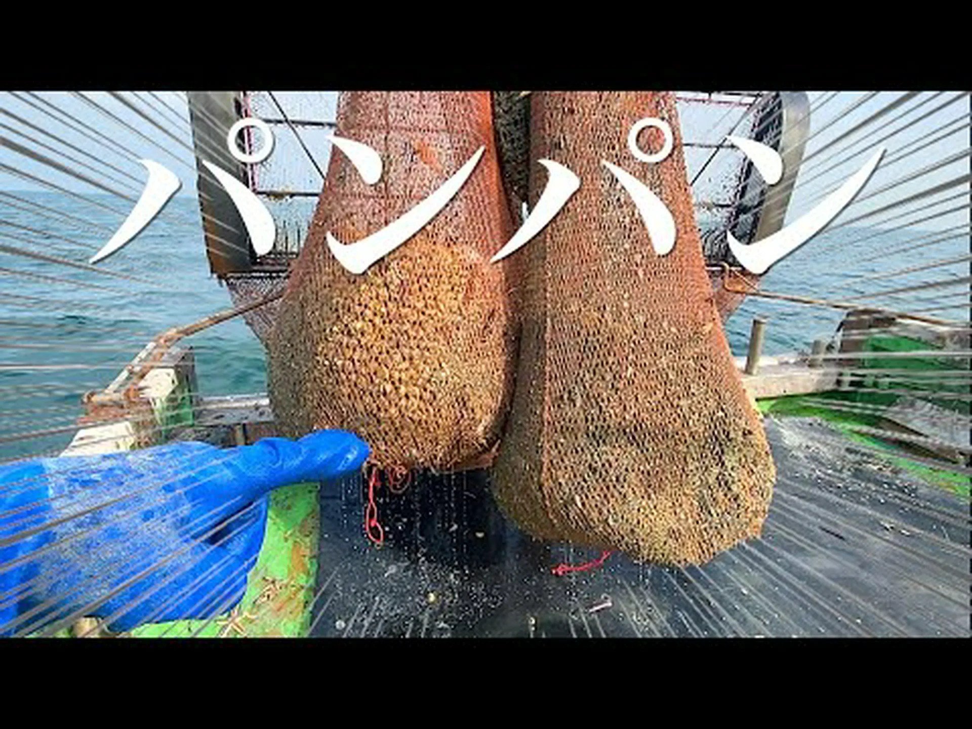 どれくらいの漁具が海に流れてしまいますか? どれくらいの漁具が海に流れてしまいますか?