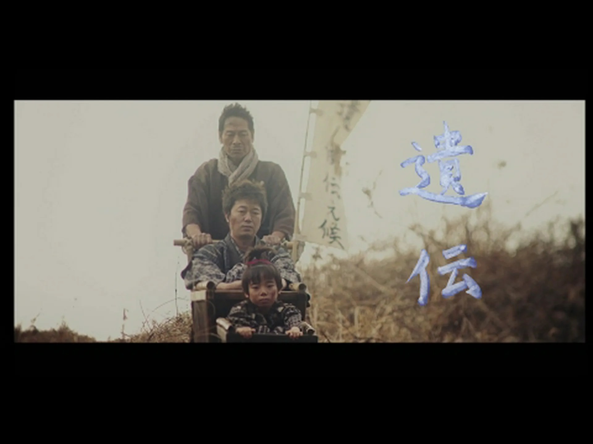 遺伝した喧嘩好き 遺伝した喧嘩好き