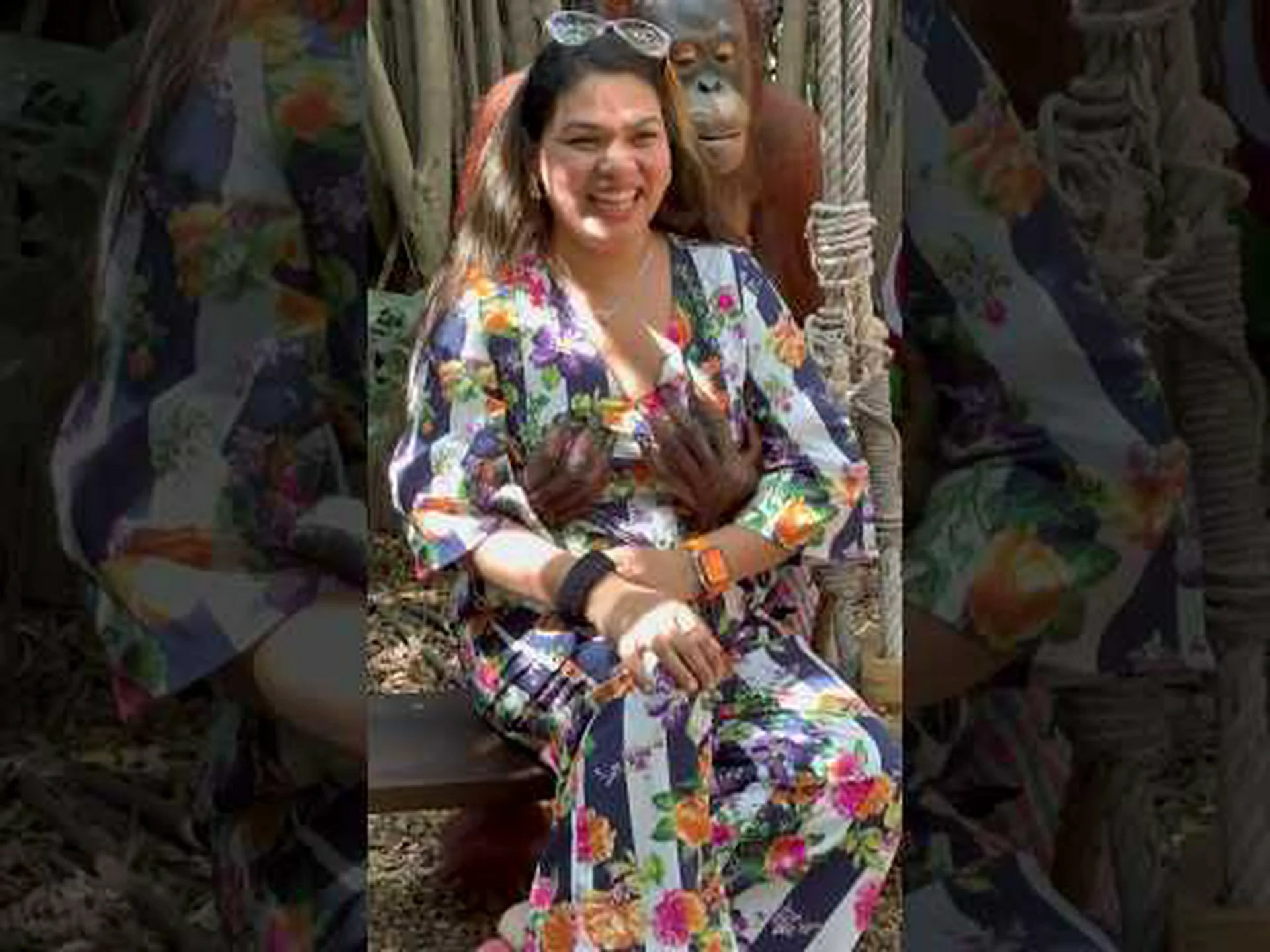 オランウータン:恐ろしい喪失 オランウータン:恐ろしい喪失