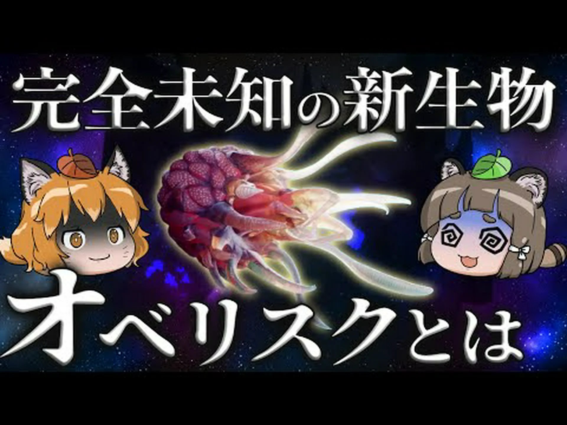 新しい共生の形を発見 新しい共生の形を発見