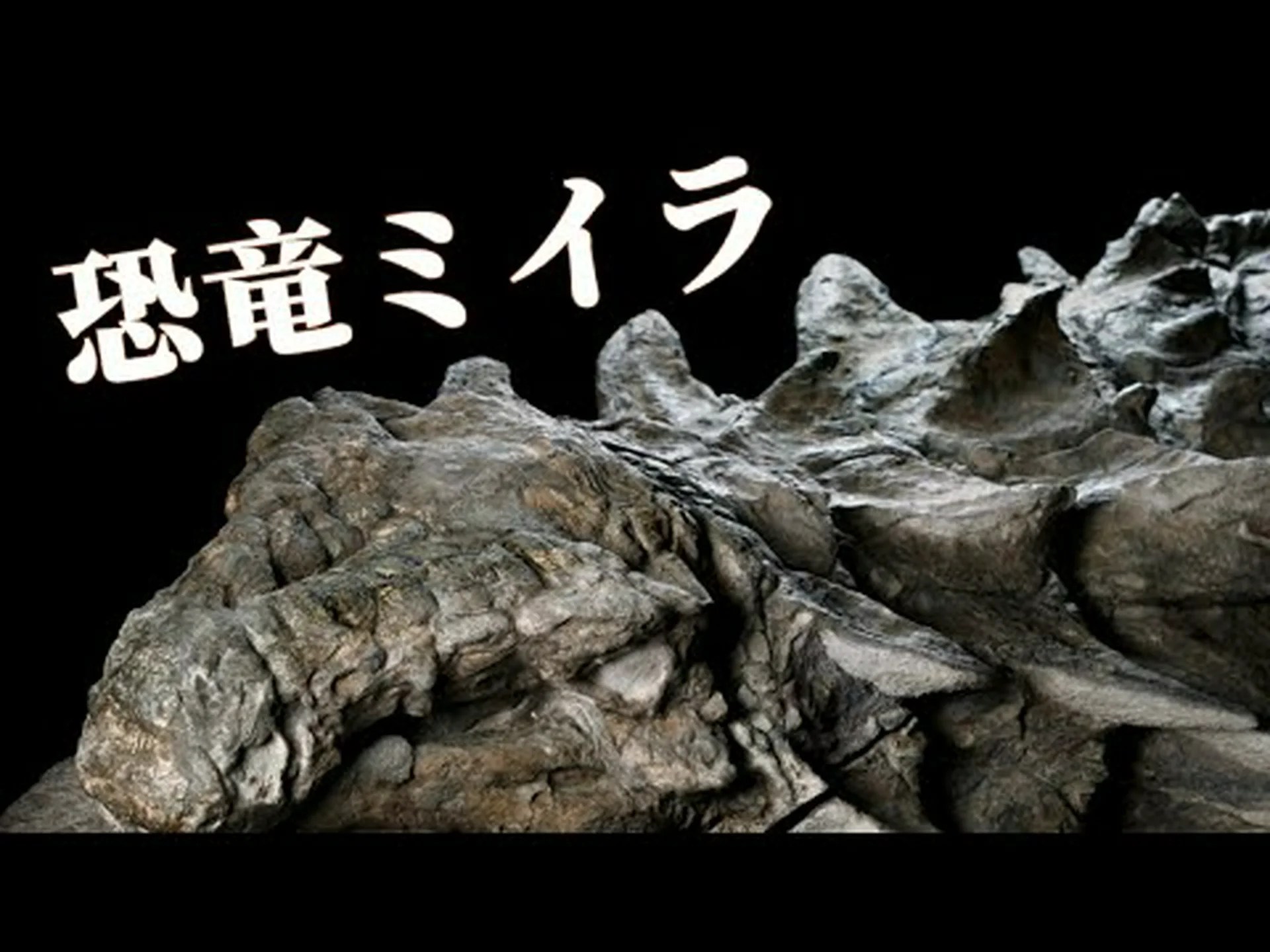 最古の皮膚の化石は現在のワニの皮膚に似ている 最古の皮膚の化石は現在のワニの皮膚に似ている