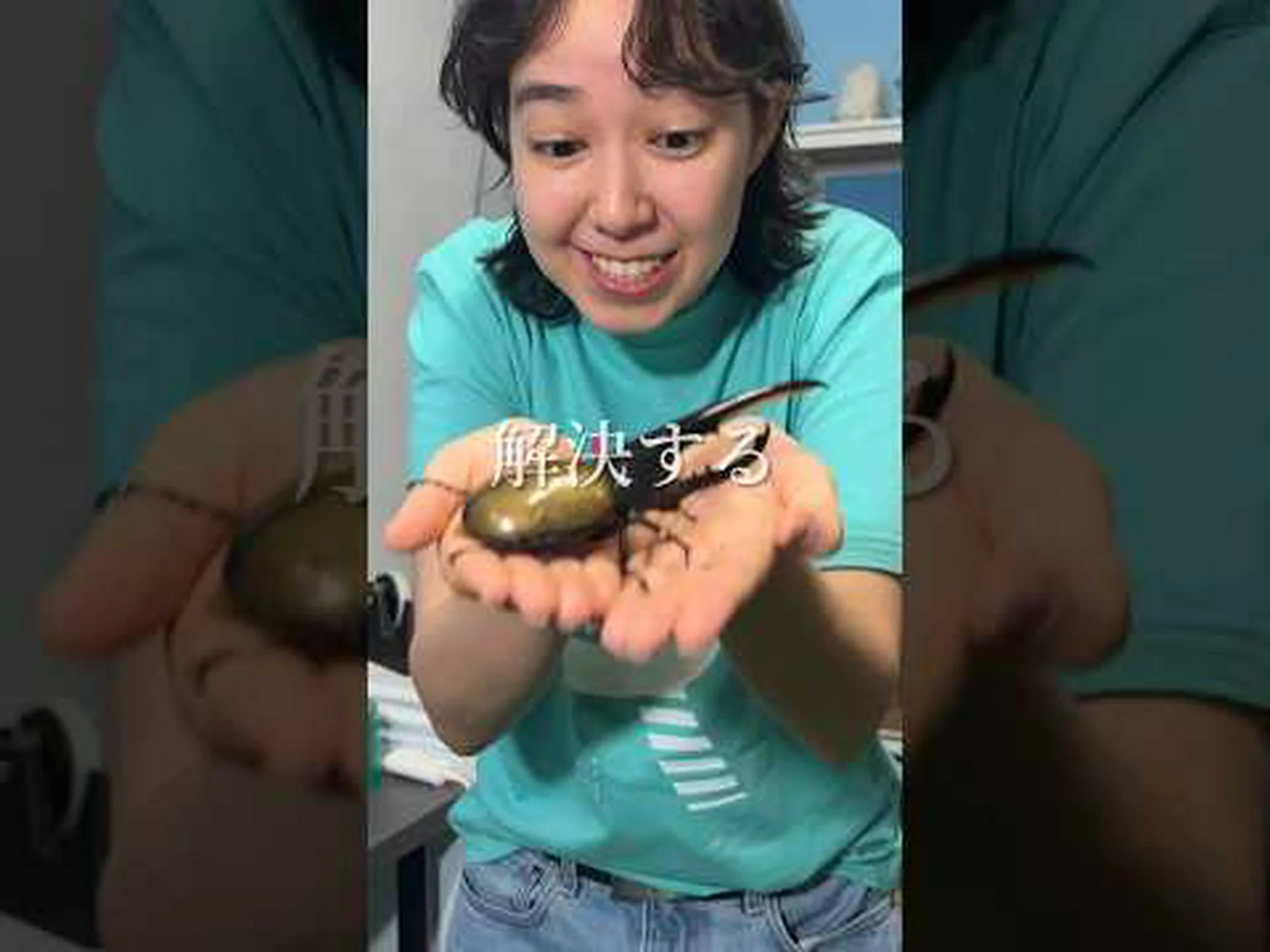 カブトムシも農薬の影響を受ける カブトムシも農薬の影響を受ける