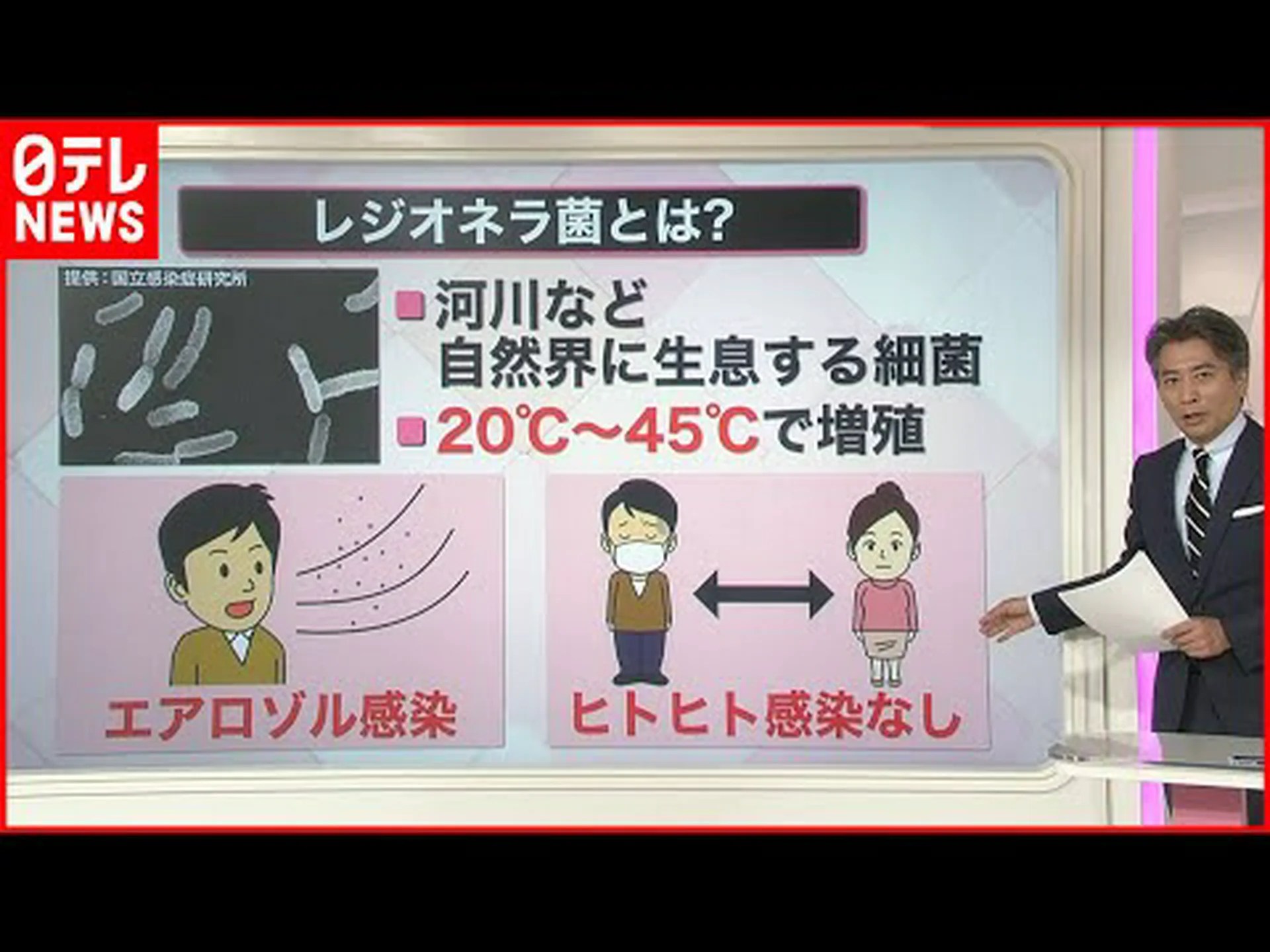 レジオネラ菌の楽園 レジオネラ菌の楽園