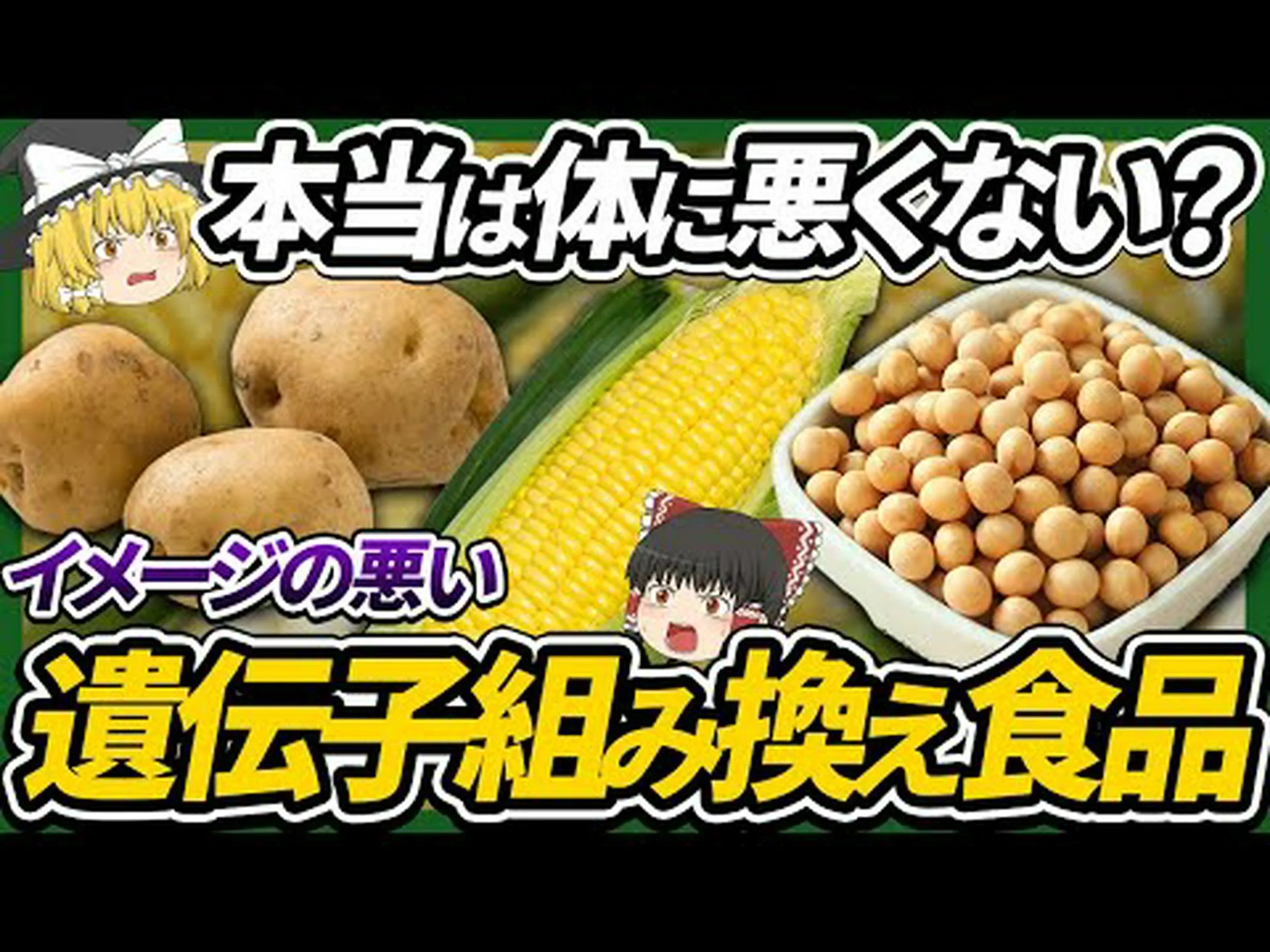 遺伝子組み換えジャガイモから作られたクモの糸 遺伝子組み換えジャガイモから作られたクモの糸