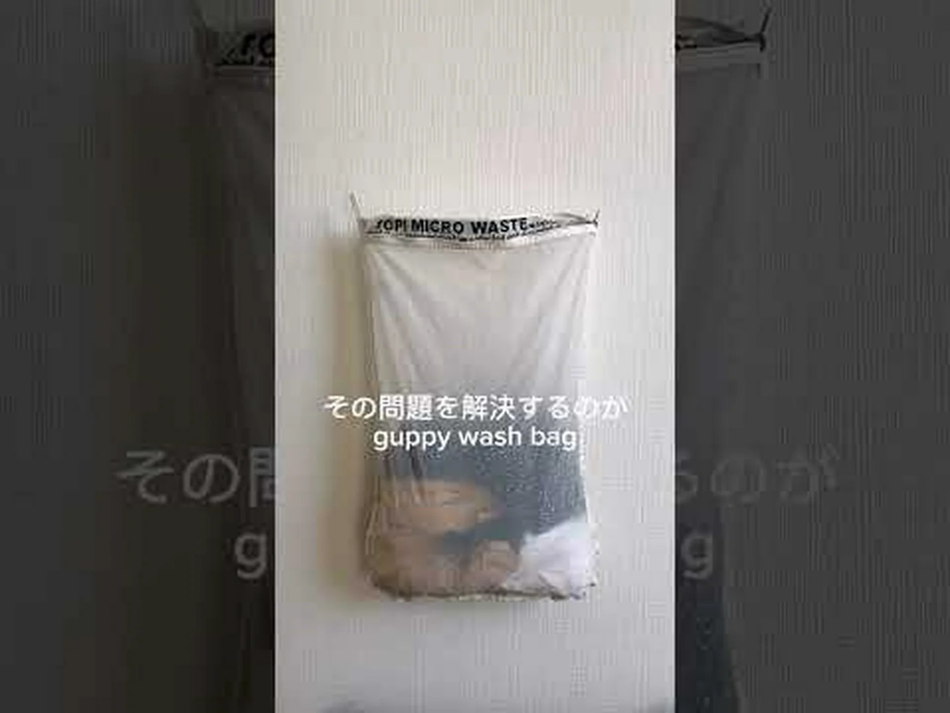 オットセイの糞に含まれるプラスチック繊維 オットセイの糞に含まれるプラスチック繊維