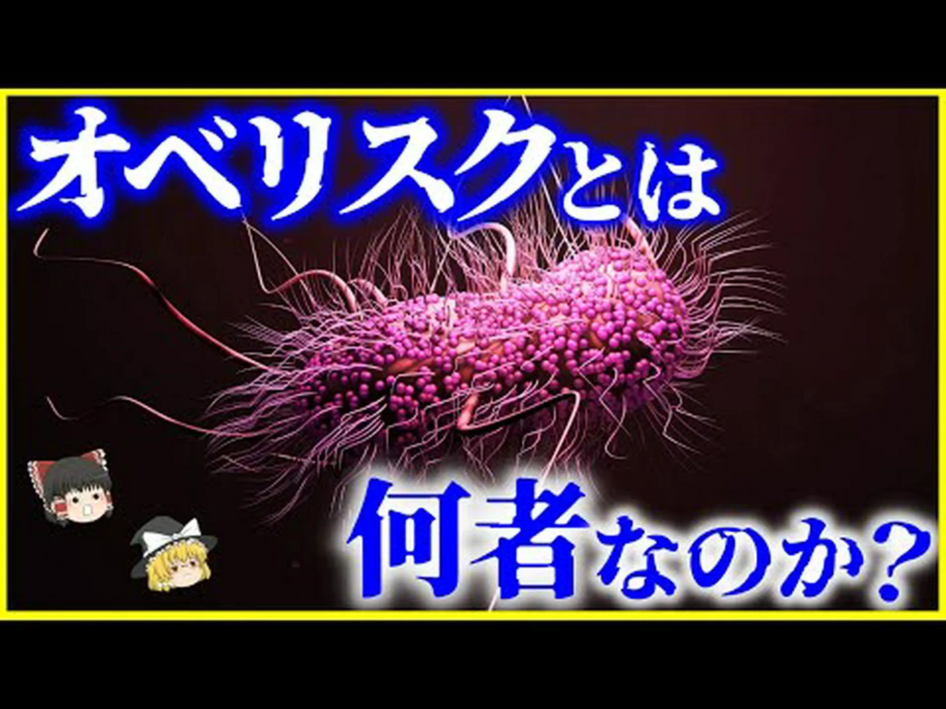 海洋バクテリア:希少なものが重要 海洋バクテリア:希少なものが重要