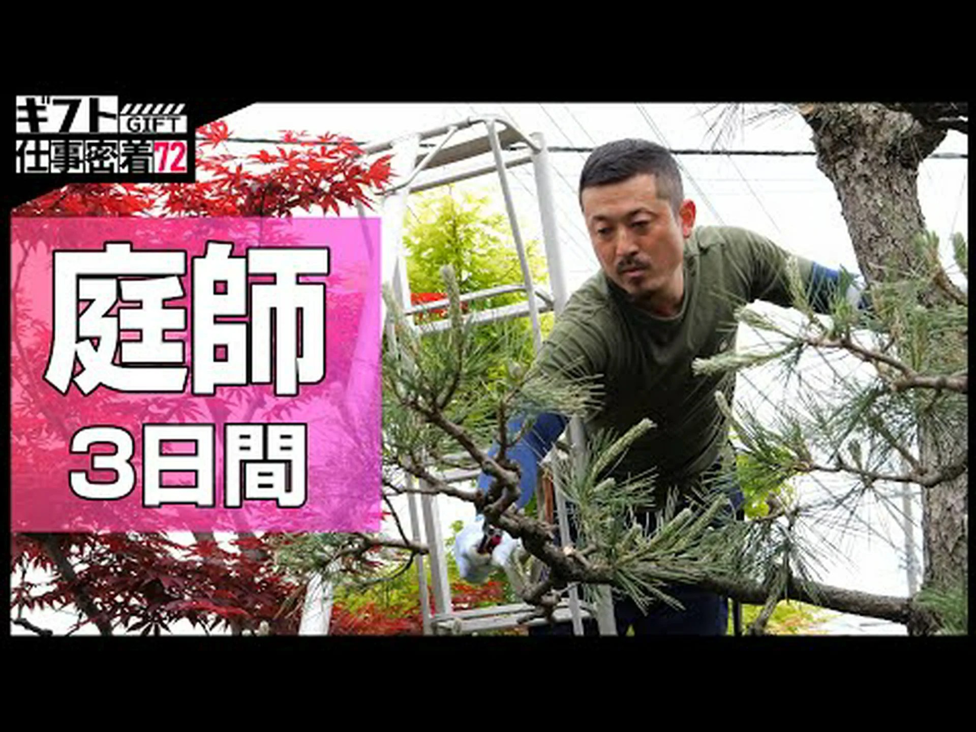 優秀な庭師 優秀な庭師