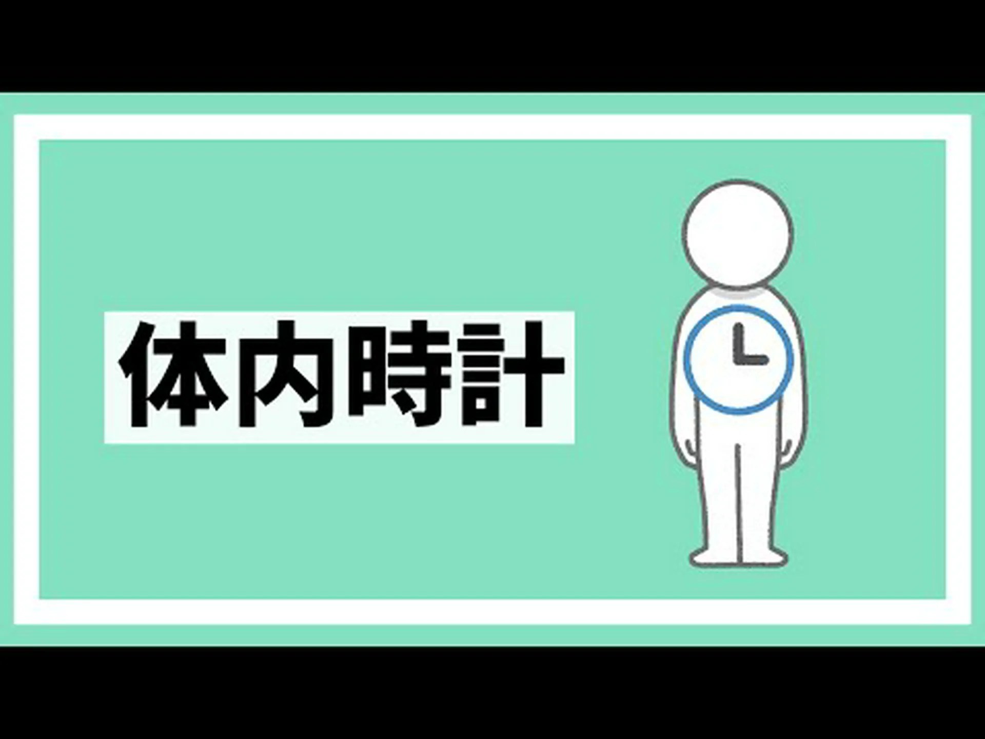 蝶は体内時計を使って移動することができます 蝶は体内時計を使って移動することができます