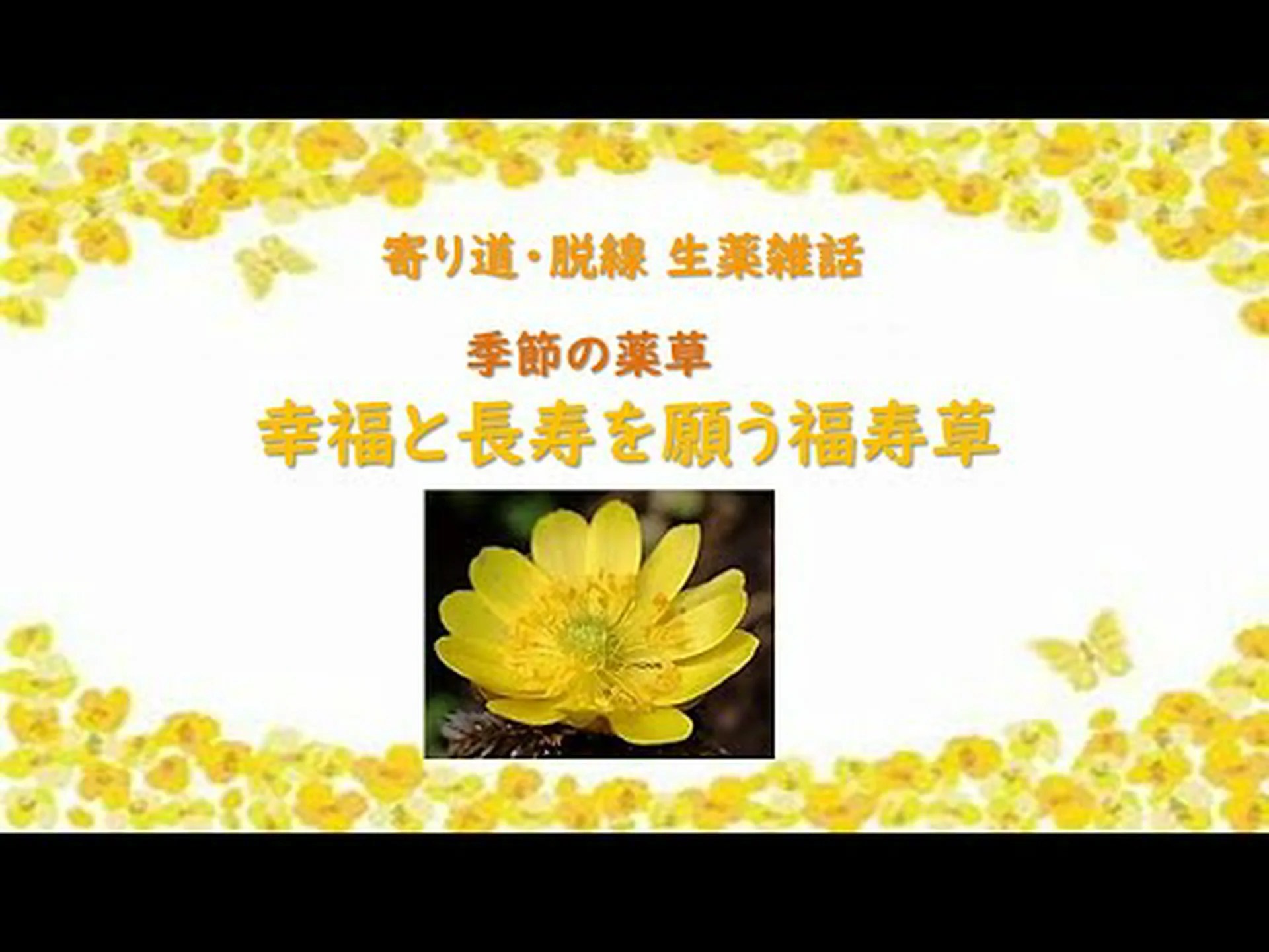 幸福と長寿を… 幸福と長寿を…