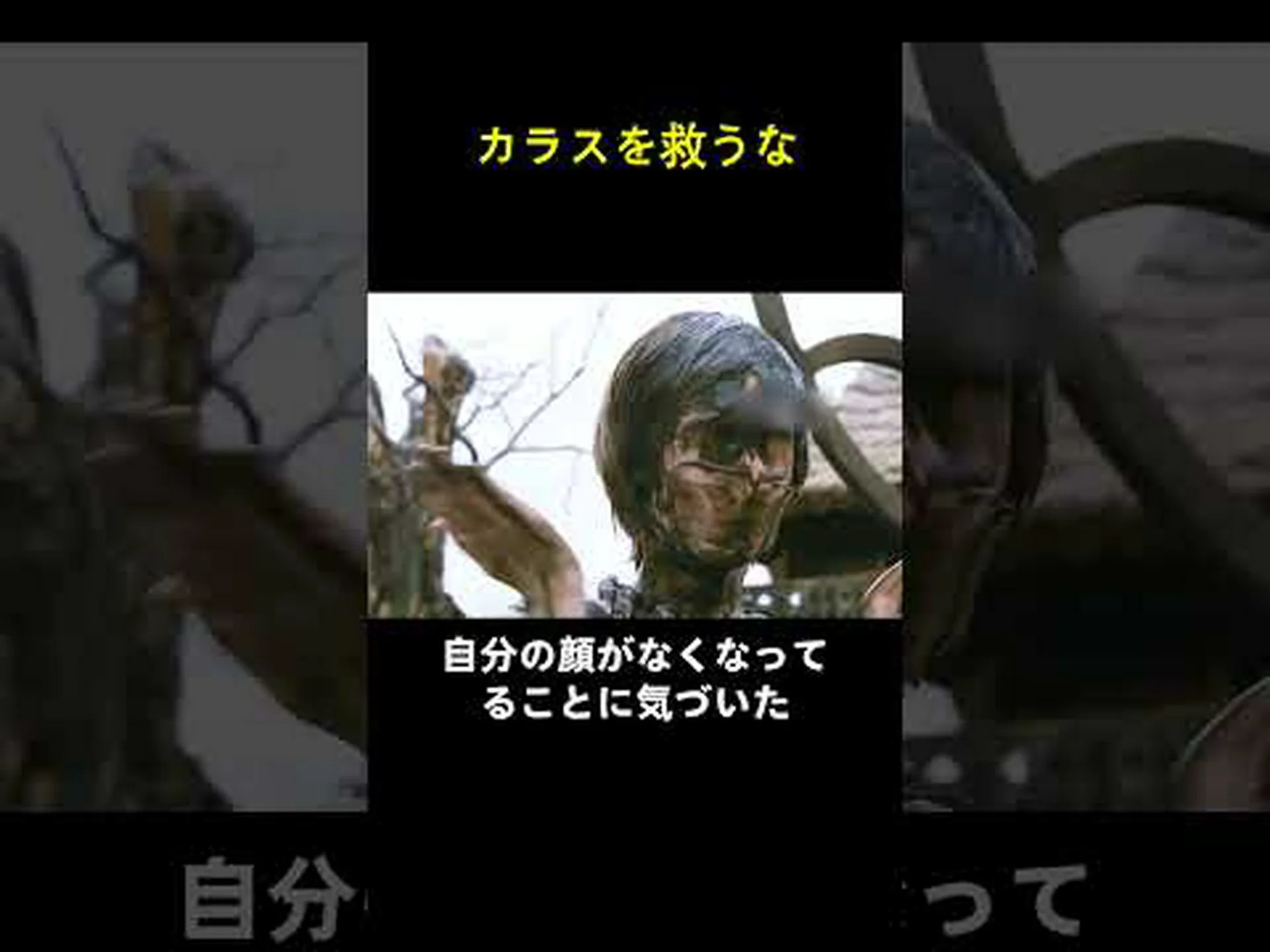 琥珀の奇妙な先史時代の鳥の爪 琥珀の奇妙な先史時代の鳥の爪